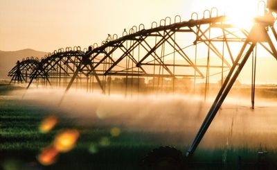 Irrigation & Water Management